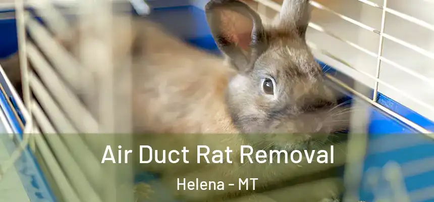  Air Duct Rat Removal Helena - MT
