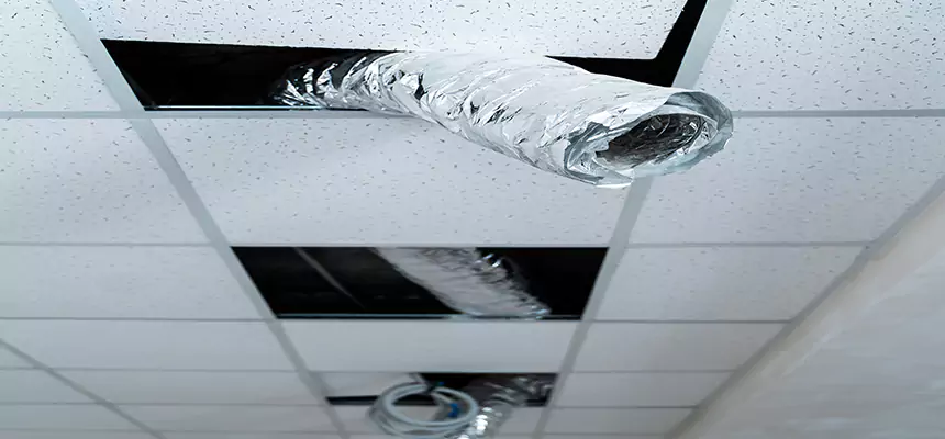 Affordable HVAC Sanitizing After Pest Removal in Helena