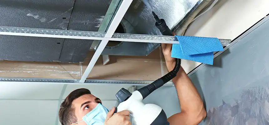 Our Air Duct Rodent Removal Services in Helena, MT