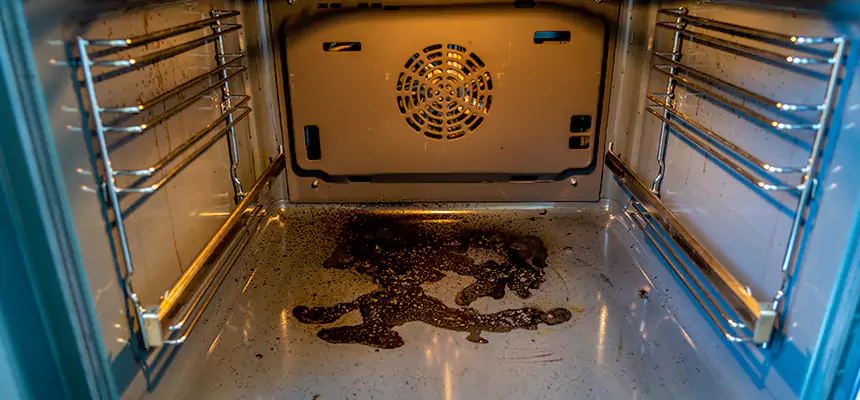 Our Dryer Vent Mold Cleaning Services in Helena, MT