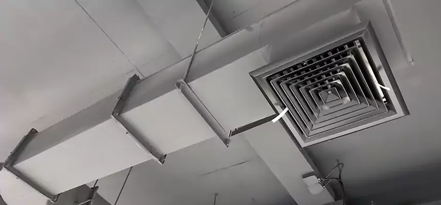 Our Pest Removal From Ducts Services in Helena, MT