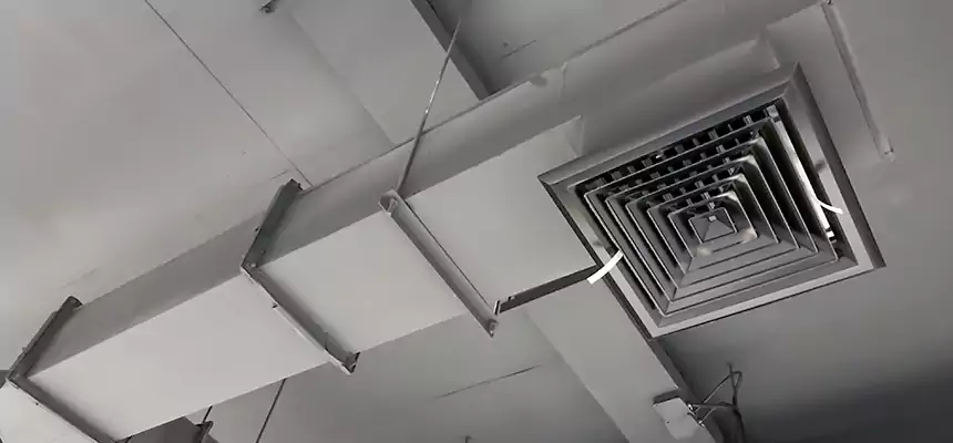 Our Rodent Droppings In Vents Services in Helena, MT