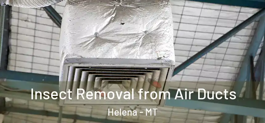  Insect Removal from Air Ducts Helena - MT
