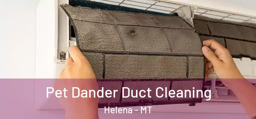 Pet Dander Duct Cleaning Helena - MT