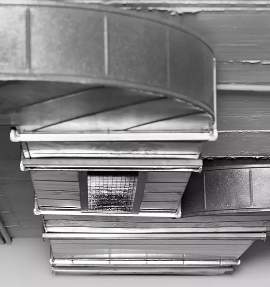 Professional Air Duct Pest Removal in Helena, MT