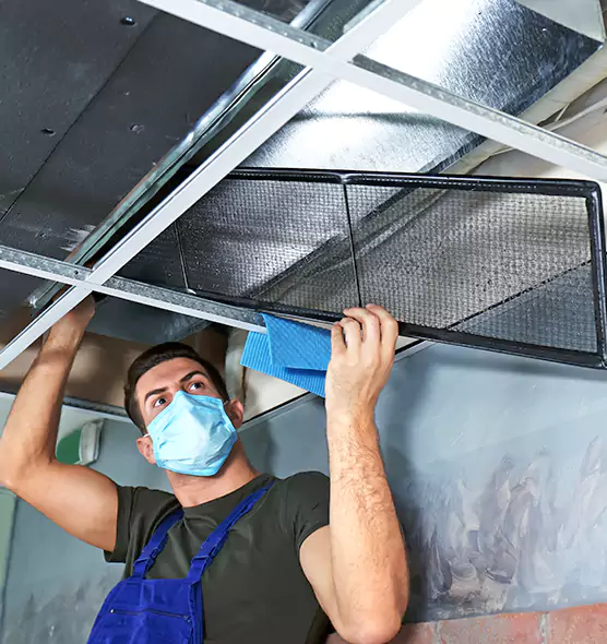 Professional Air Duct Pollen Cleaning in Helena, MT