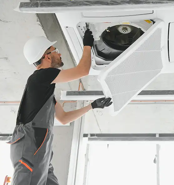 About Air Duct Rodent Removal in Helena, MT